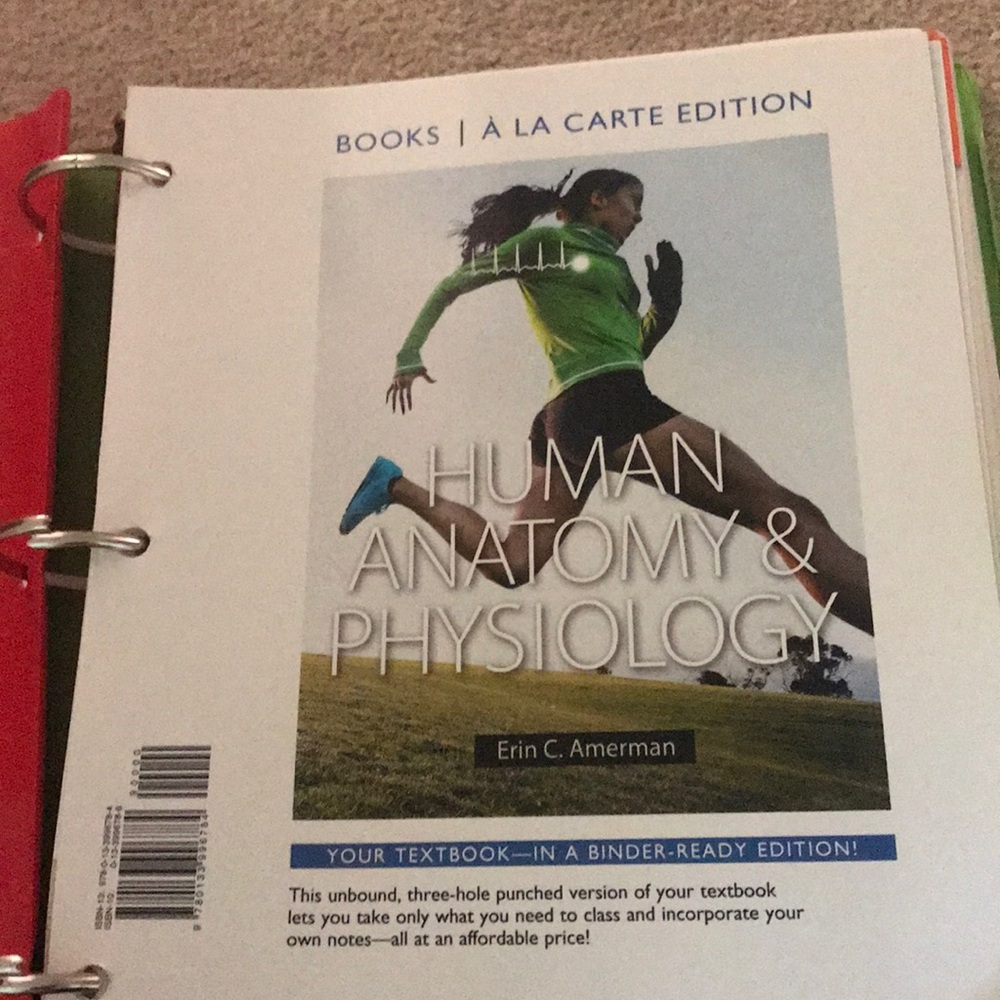 Three Piece Anatomy and Physiology Textbooks
